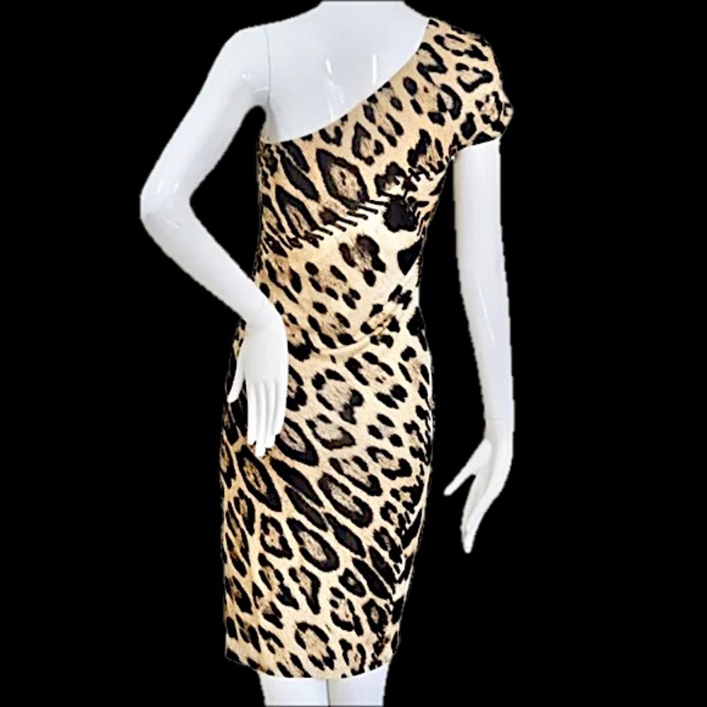 ๐ฎ๐น Roberto Cavalli Brown Animal Print Brooch Detail One Shoulder Dress Size 4 - Picture 5 of 15